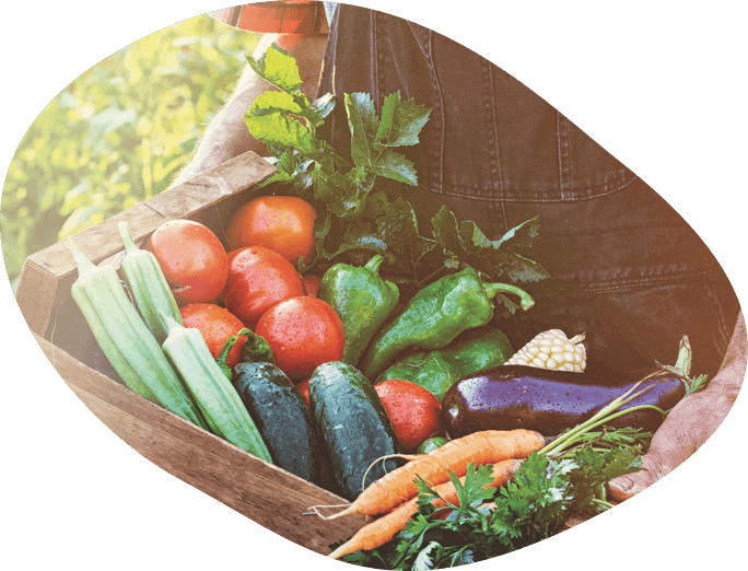 Légumes