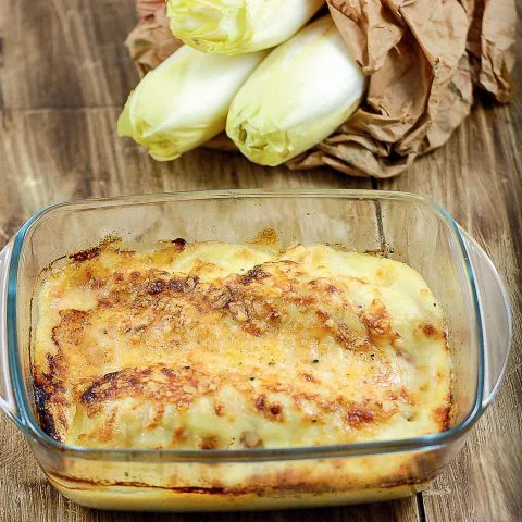 Gratin d'endives 1