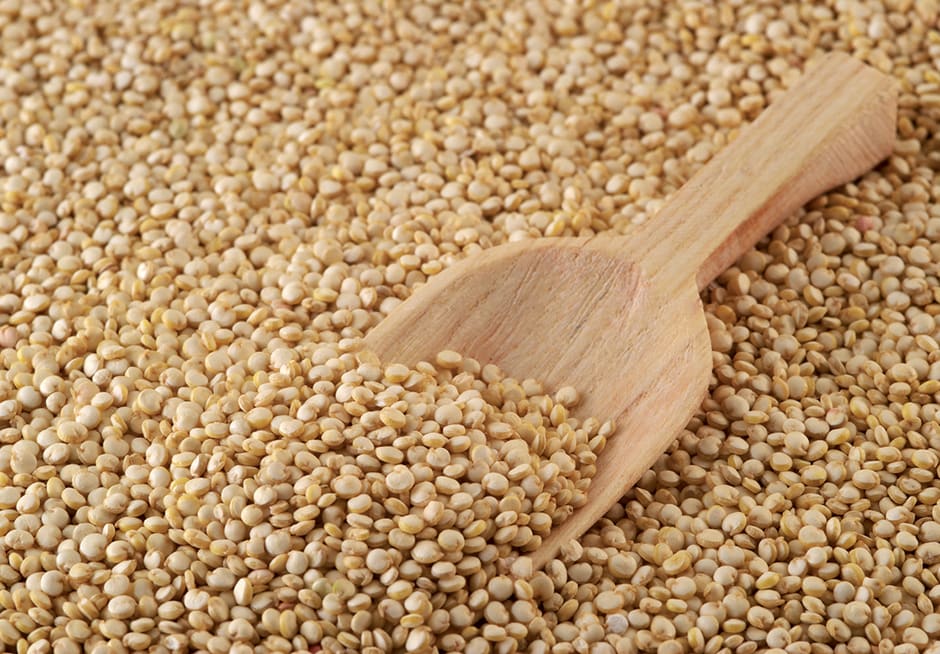 quinoa bio