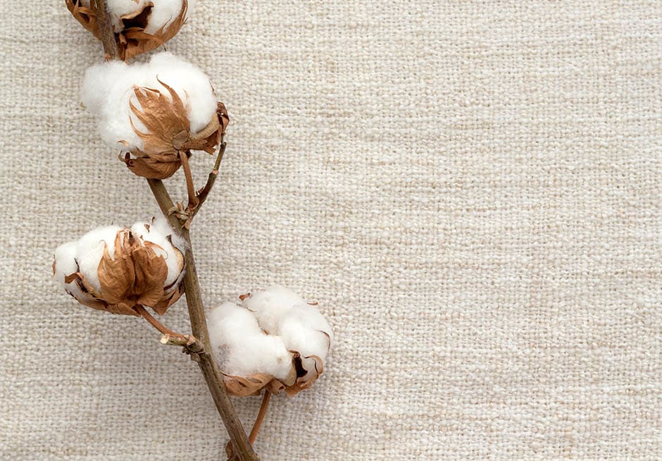 coton bio