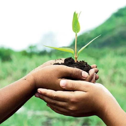 L'économie collaborative sera-t-elle l'économie de demain ?