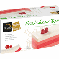 Bûche glacée sorbet fraise, citron et framboise 2018 bio