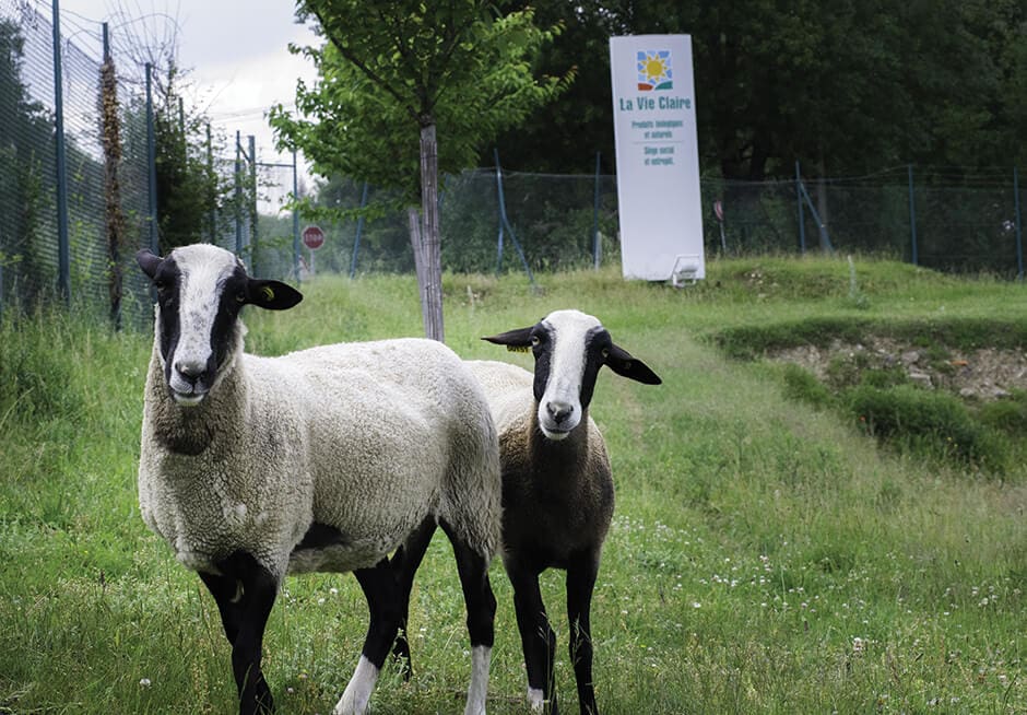 La Vie Claire, entreprise naturellement engagée dans une démarche de développement durable 4
