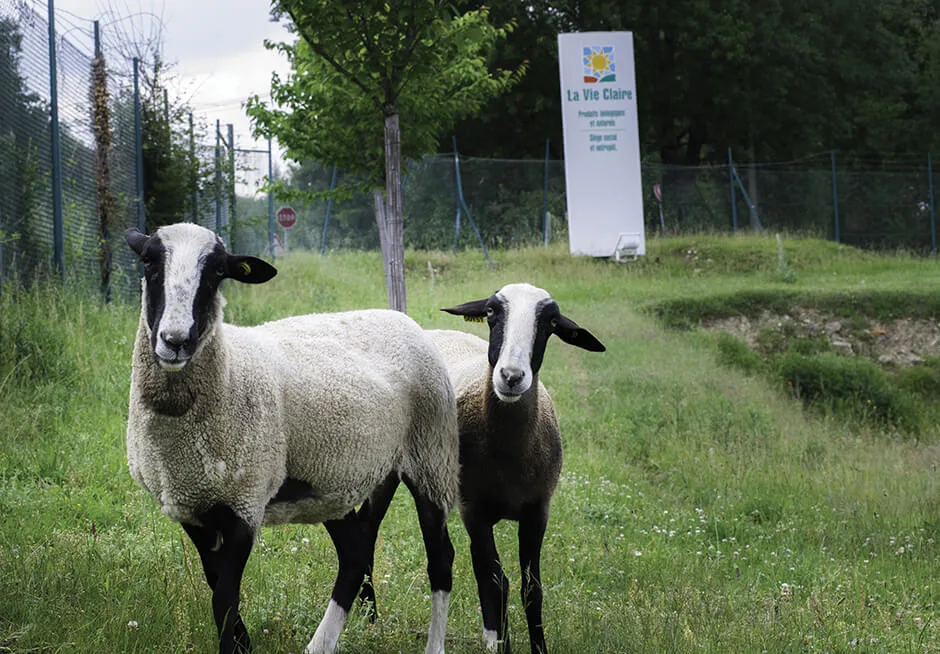 La Vie Claire, entreprise naturellement engagée dans une démarche de développement durable 4