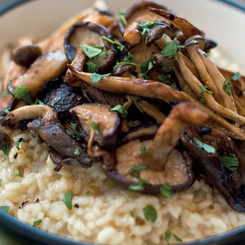 Risotto aux champignons sauvages