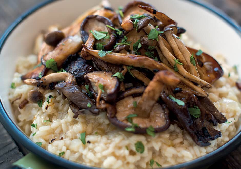 Risotto aux champignons sauvages