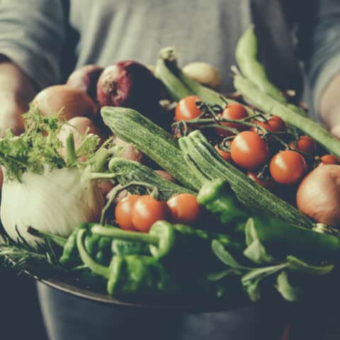 culture-bio-et-permaculture-2