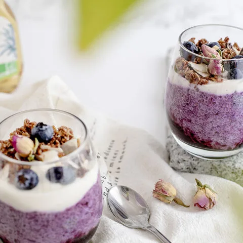 pudding chia