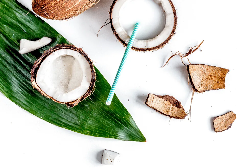 Tout sur la noix de coco, ses bienfaits, comment la consommer