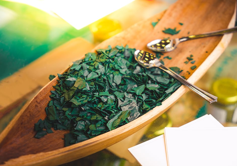 spiruline algues