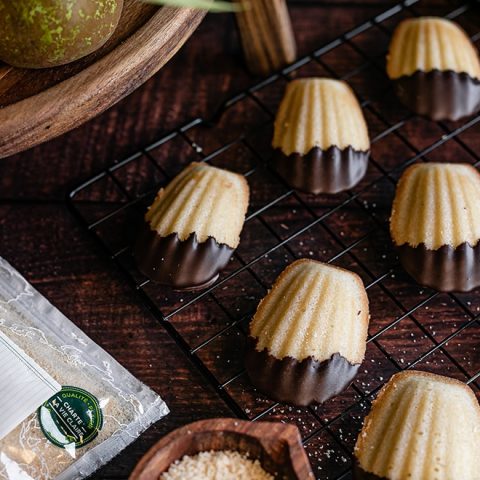 Madeleines enrobées de chocolat 1