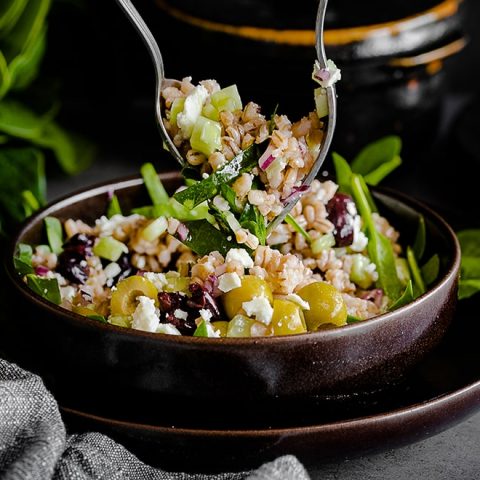 Salade d’orge, concombre et feta