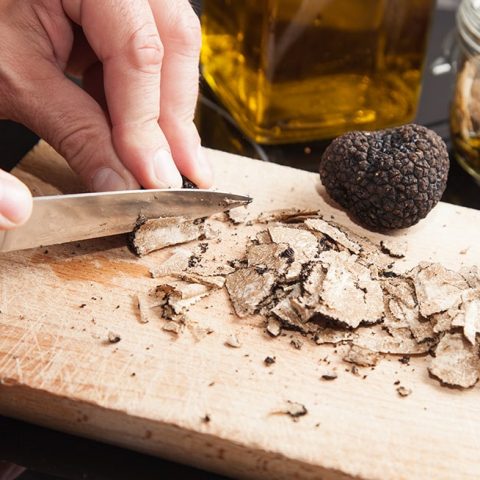 La truffe, l’humble reine des sous-bois