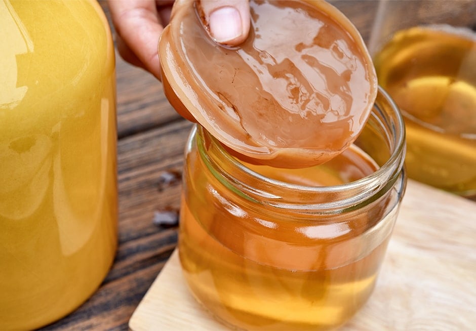 Les vertus du kombucha 1