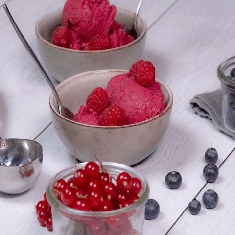 sorbet fruits rouges