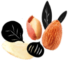 Fruits à coque
