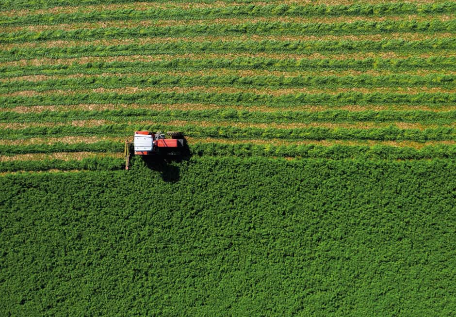 sols-agriculture