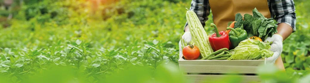 Bannière-agriculture-bio