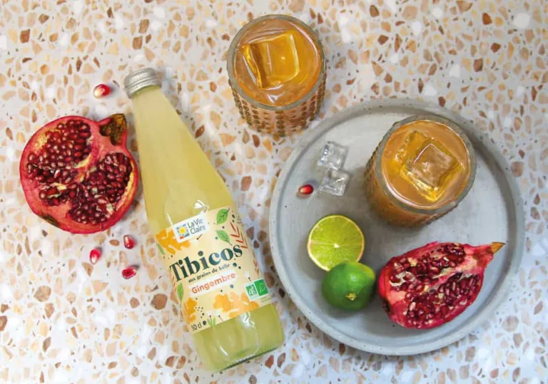 Tout savoir sur le kéfir et le tibicos : composition, fermentation, préparation