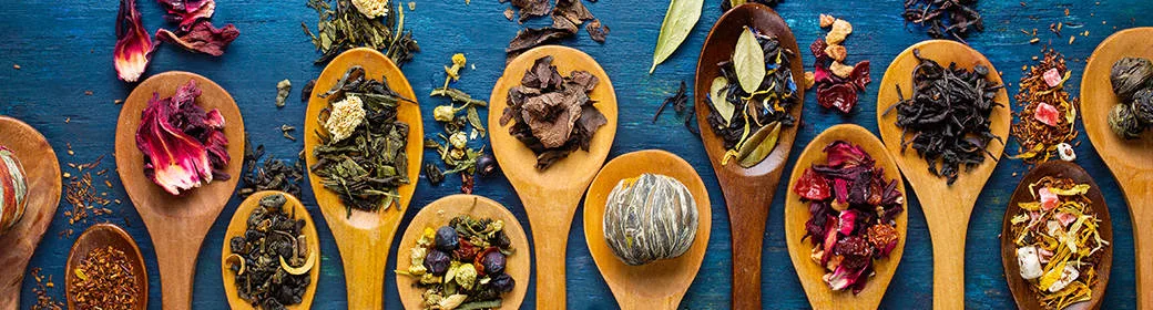 Cuisine bio et recettes bio