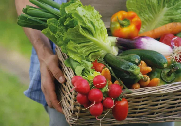Ep. 6 – Comment réduire l’impact environnemental de notre alimentation ?