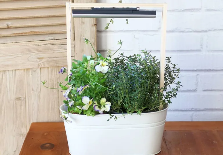 Jardinière d&rsquo;herbes aromatiques (DIY)