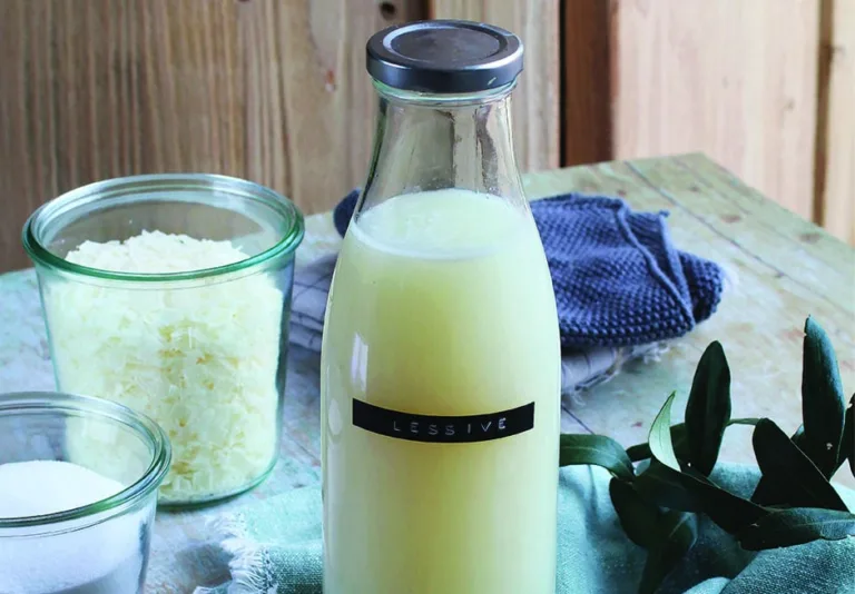 Do it yourself : fabriquer ses produits ménagers maison