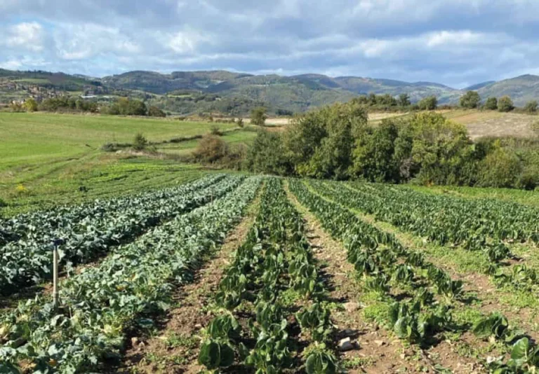 Qu&rsquo;est-ce que l&rsquo;agriculture biologique ?