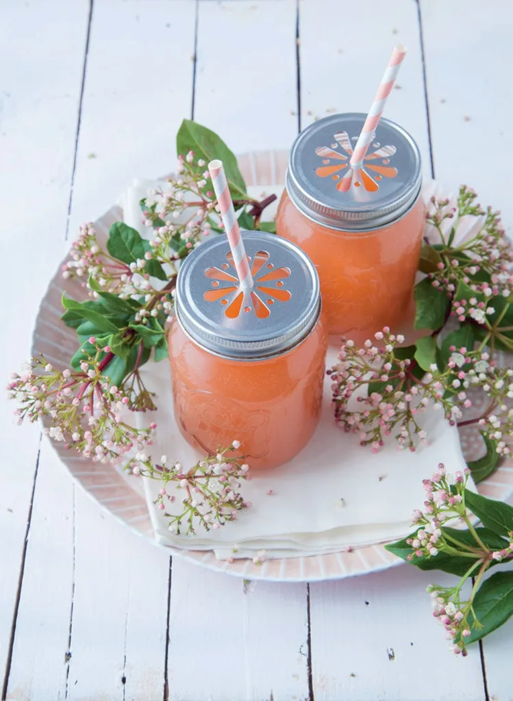 Limonade à la rhubarbe