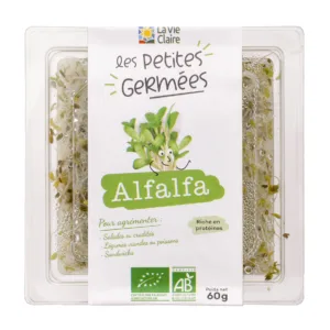 Graines germées Alfalfa bio