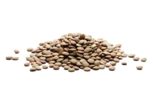 Lentilles vertes bio
