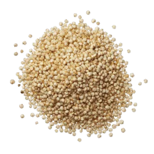 Quinoa blanc des Andes bio