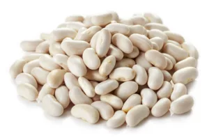 Haricots blancs bio