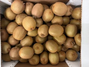 Kiwi Italie bio