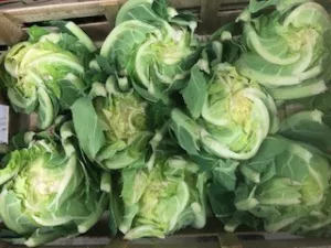 Chou-fleur France bio