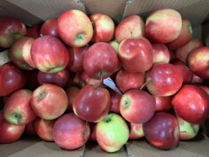 Pomme Story France bio