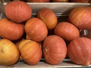 Potimarron orange France bio