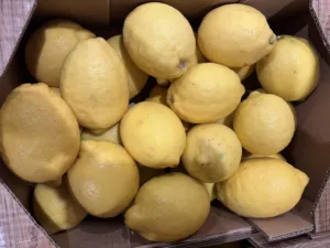 Citron Espagne bio