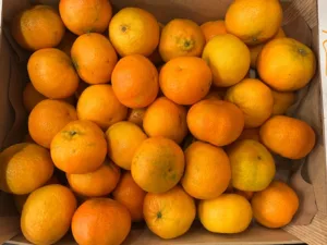Clémentine bio espagne
