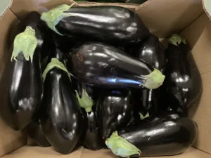 Aubergine Espagne bio