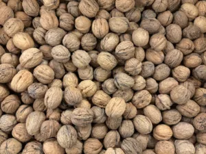 Noix sèche France bio