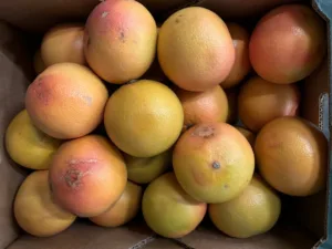 Pomelo star ruby bio Espagne