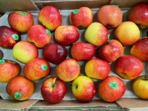 Pomme Juliet France bio