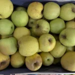 Pomme(s)