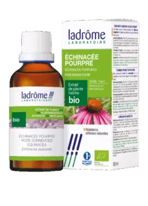 Extrait de plante echinacée pourpre bio