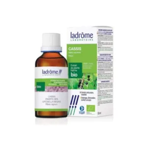 Extrait de plante cassis bio