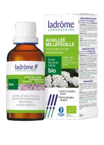 Extrait de plante chillée millefeuille bio
