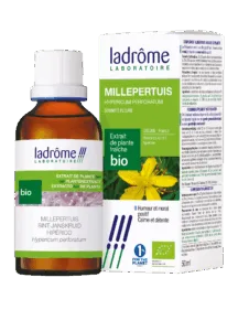 Extrait de plante millepertuis bio
