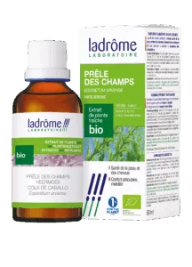 Extrait de plante prêle des champs bio
