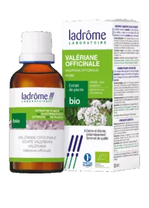 Extrait de plante valériane officinale bio